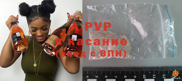 индика Бородино
