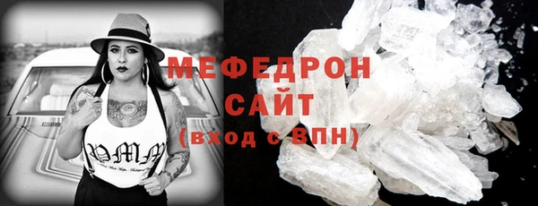 индика Бородино
