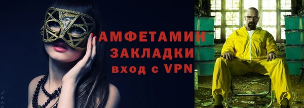 индика Бородино