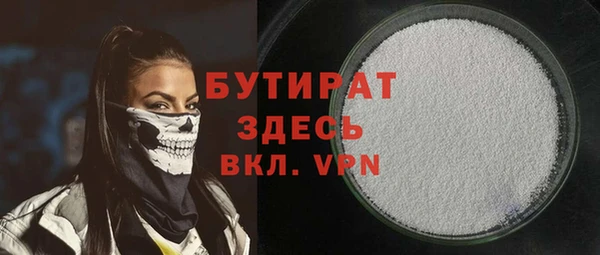 индика Бородино