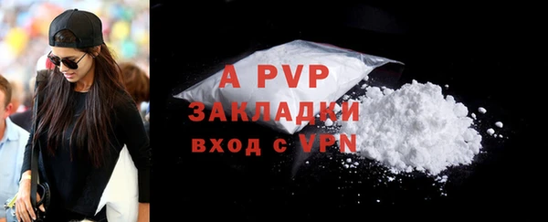ECSTASY Бронницы