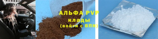 индика Бородино