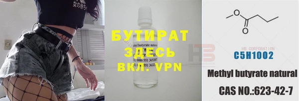 индика Бородино