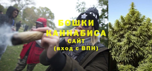 индика Бородино