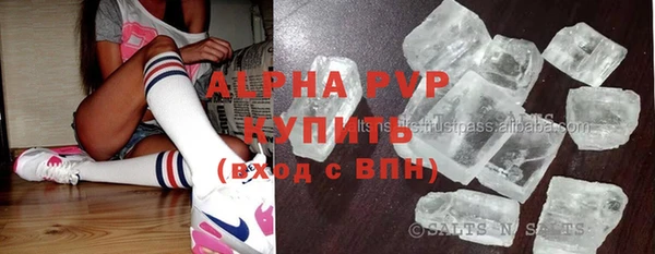 индика Бородино