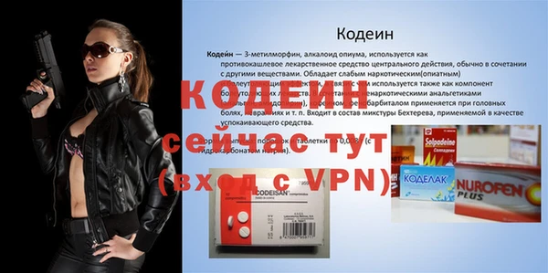 индика Бородино