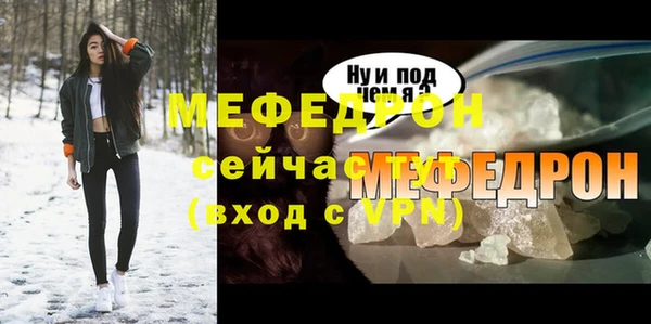 индика Бородино