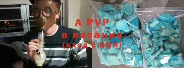 индика Бородино