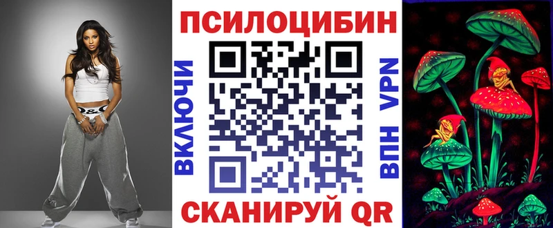 где продают   Тихвин  Галлюциногенные грибы Psilocybe 